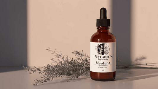 A bottle of Fire Moon Botanicals Neptune Dream Elixir with mugwort in the background, set against a simple white evening backdrop, evoking restful nights and dream support.