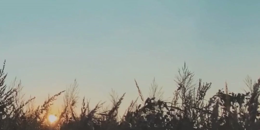 Fire Moon Botanicals video showcasing the alignment of body, soul, and spirit through the natural cycles of the cosmos, featuring calming visuals of nature, herbal remedies, and celestial-inspired themes.